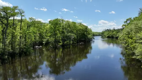 7095 Parkers Ferry Rd, Adams Run, SC 29426