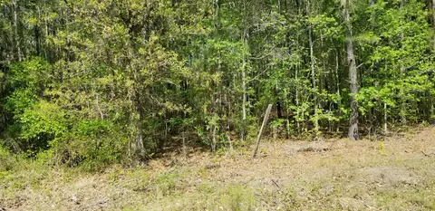 0 Belton Ln, Ruffin, SC 29475