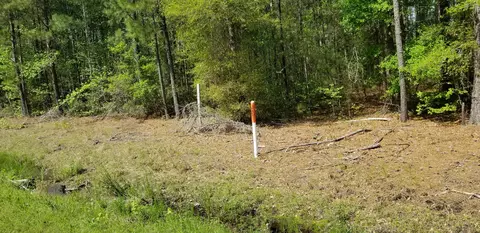 0 Belton Ln, Ruffin, SC 29475 photo 3