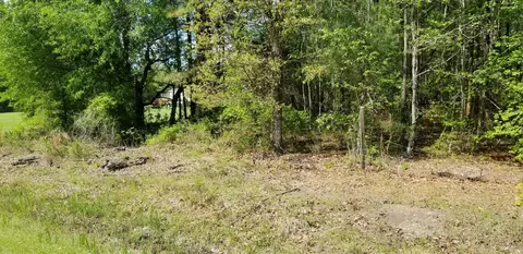 0 Belton Ln, Ruffin, SC 29475 photo 2