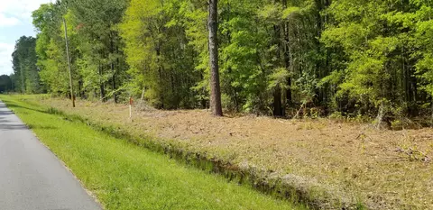 0 Belton Ln, Ruffin, SC 29475 photo 4