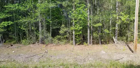 0 Belton Ln, Ruffin, SC 29475 photo 5