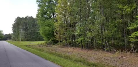 0 Belton Ln, Ruffin, SC 29475 photo 6