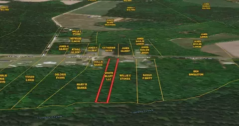 0 Maple Branch Rd #ROAD, Reevesville, SC 29471