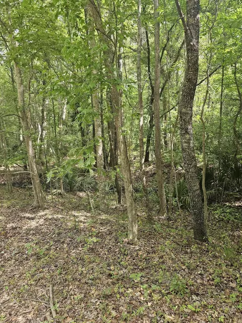3910 Benjamin Rd, Johns Island, SC 29455
