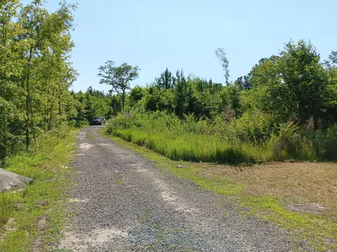0 Primus Drive Dr, Saint George, SC 29477