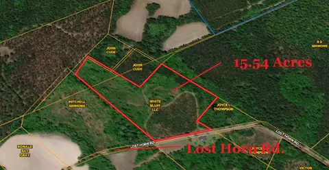 0 Lost Horn Rd, Branchville, SC 29432
