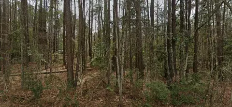 2797 Hilda Dr, Orangeburg, SC 29115