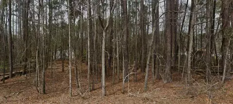 968 Fawn Ln, Orangeburg, SC 29115