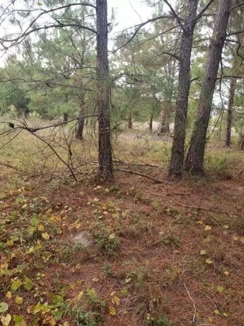 808 Lakeside View Ln, Orangeburg, SC 29115