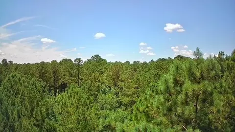 0 Nursery Rd, Reevesville, SC 29471