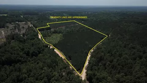 00 Stacey Bridge Rd, Orangeburg, SC 29118