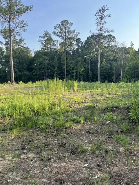 3171 Queens Way, Orangeburg, SC 29118