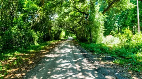 0000 Arsburn Rd, James Island, SC 29412