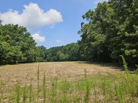lot2 A M W Rickenbaker Rd, Summerton, SC 29148