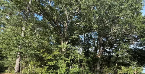 0 Hidden Dr, Orangeburg, SC 29115