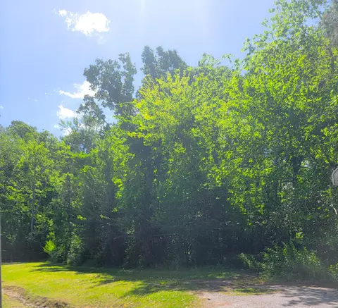 0 Singletary Ave, Moncks Corner, SC 29461