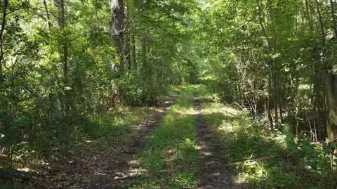 0 Rudd Rd, Ridgeville, SC 29472