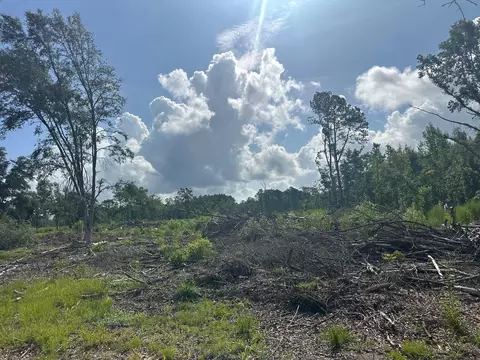 0 Utsey Hill Rd, Saint George, SC 29477
