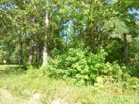 0 Big Woods Rd, Pineville, SC 29468