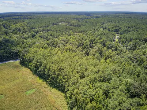 lot6 Hill Branch Rd, Ridgeville, SC 29472