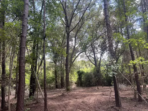 11473 S Fraser St, Georgetown, SC 29440 photo 3