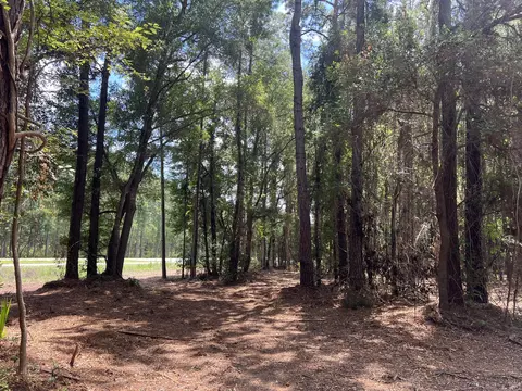 11473 S Fraser St, Georgetown, SC 29440 photo 9