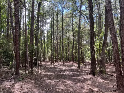 11473 S Fraser St, Georgetown, SC 29440 photo 5