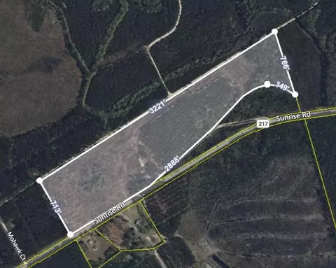 155 Yamacraw Dr, Smoaks, SC 29481