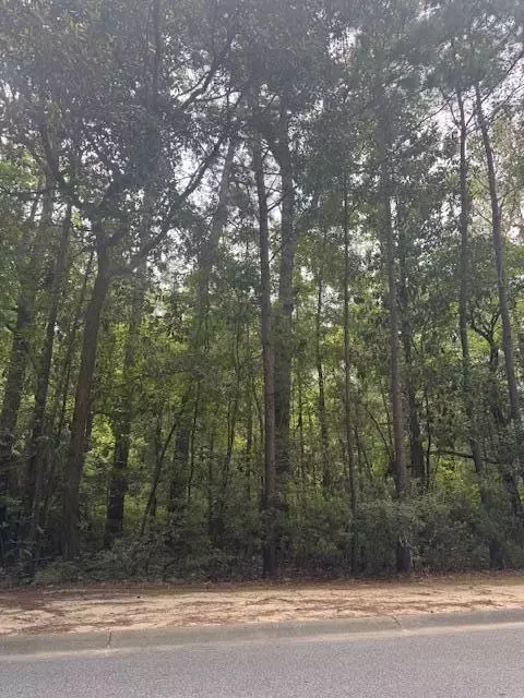 915 Lincolnville Ave, Lincolnville, SC 29485