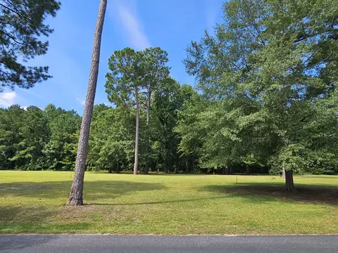 145 Woodlake Dr, Manning, SC 29102