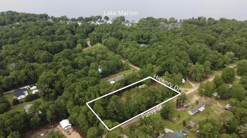 0 Hickory Dr, Summerton, SC 29148