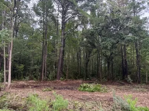 0 Society Rd, Mcclellanville, SC 29458