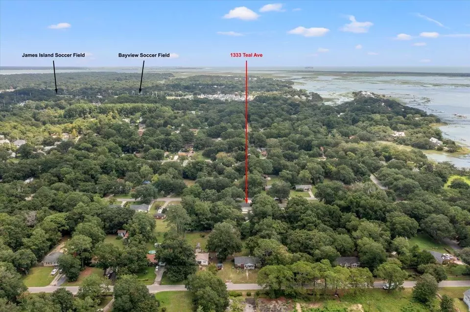 View/Area - 1333 Teal Ave, Charleston, SC 29412 photo 9 of 11