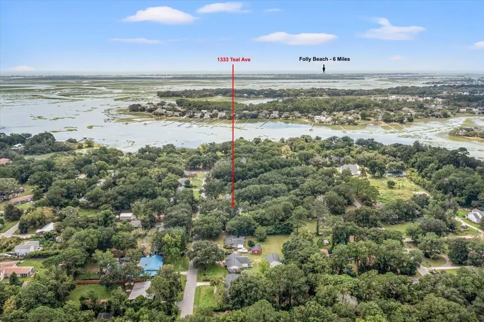 View/Area - 1333 Teal Ave, Charleston, SC 29412 photo 1 of 11
