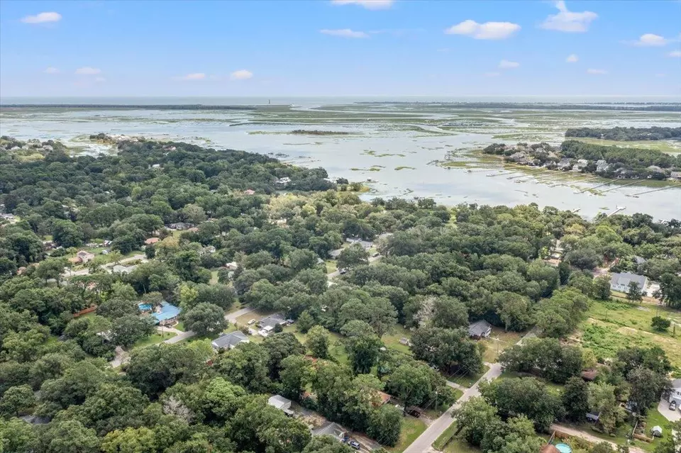 View/Area - 1333 Teal Ave, Charleston, SC 29412 photo 8 of 11