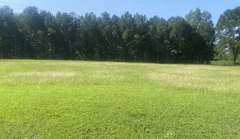 00 Spring Plains Rd, Cross, SC 29436 photo 2