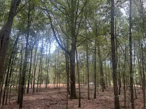 2 Francis Marion Blvd, Summerton, SC 29148