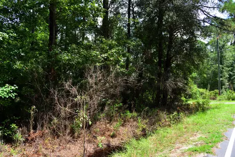 0 Cherry Hill Rd, Hollywood, SC 29449