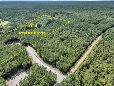 lot4 Silas Rd, Mcclellanville, SC 29458