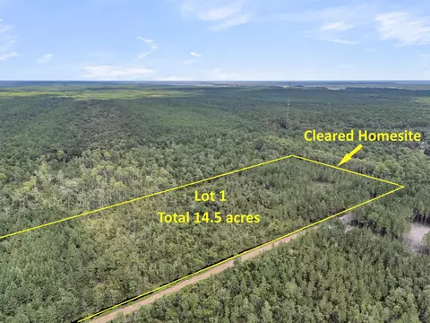lot1 Silas Rd, Mcclellanville, SC 29458