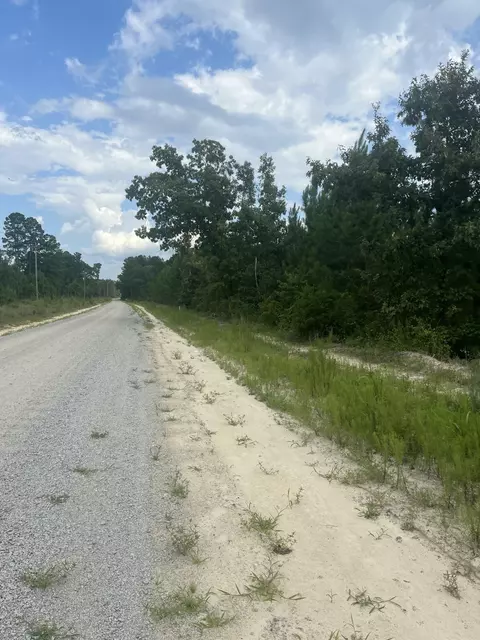 Bff 1d Brunson Teal Road #BFF 1D, Patrick, SC 29584