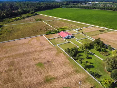View/Area - 4875 Cameron Rd, Cameron, SC 29030 photo 4 of 8