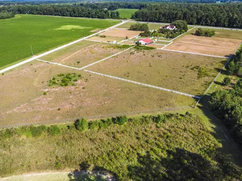 View/Area - 4875 Cameron Rd, Cameron, SC 29030 photo 6 of 8