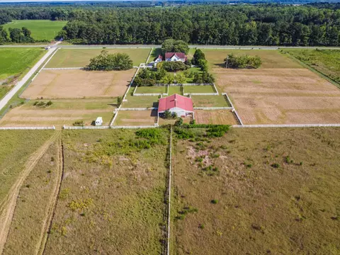 View/Area - 4875 Cameron Rd, Cameron, SC 29030 photo 5 of 8
