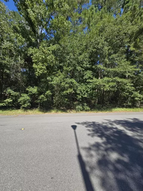 0 Essex Dr, Orangeburg, SC 29118