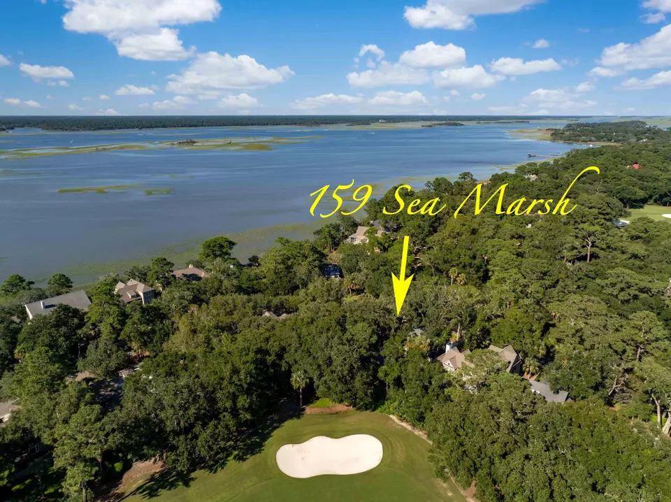 View/Area - 159 Sea Marsh Dr, Kiawah Island, SC 29455 photo 1 of 1