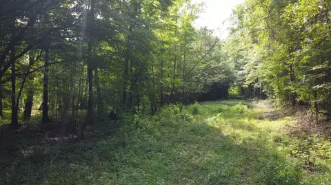 0 Fivel Rd, Ridgeville, SC 29472