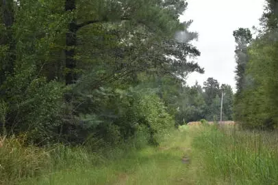 1544 Isabella Rd, Kingstree, SC 29556 photo 5