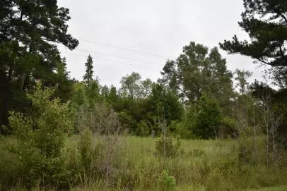 1544 Isabella Rd, Kingstree, SC 29556 photo 2